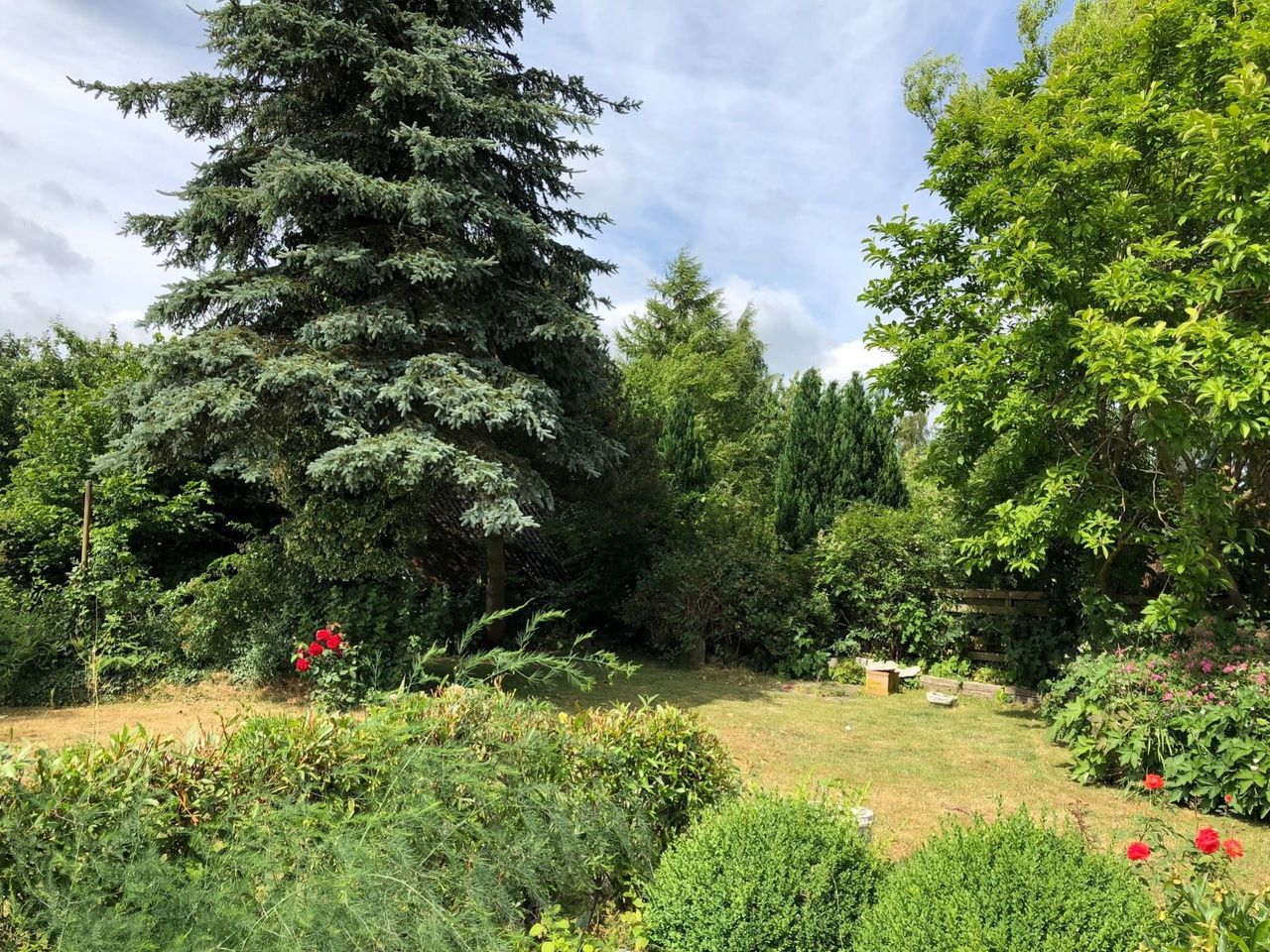 image 03